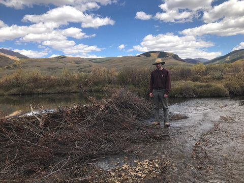Researcher standing next to beaver dam