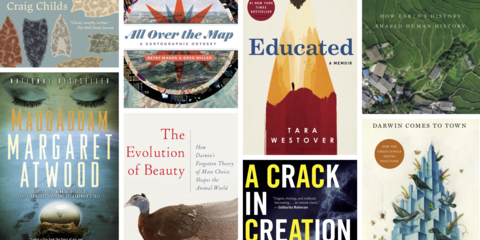 Mosaic of book covers