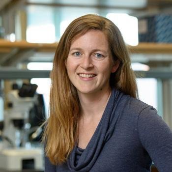 Profile image for Erin Mordecai