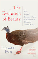 Evolution Of Beauty book cover