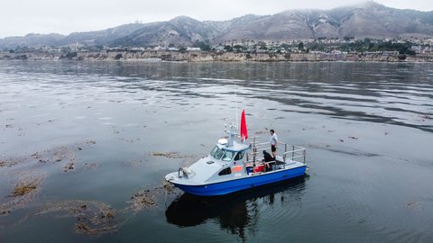 A blue boat rests at anchor in a kelp forest with a coastal headland in the background.