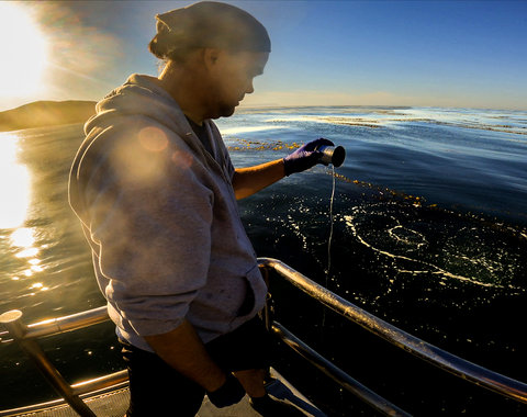 A man standing on a boat pours a water sample back into the ocean.