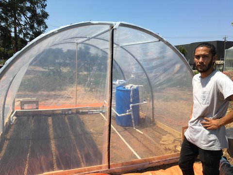 Frederick Tan next to a version of the chili-drying prototype built at the Stanford farm in July 2018.