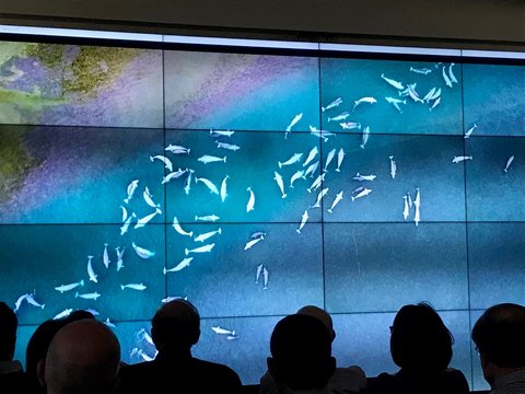 Aerial photo image by Stace Maples