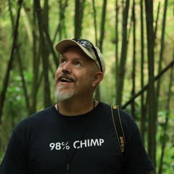 Profile image for James Holland Jones