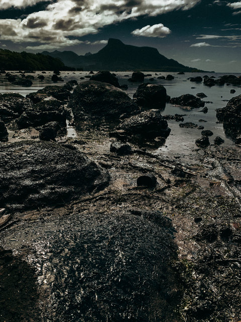 A lagoon contaminated with oil