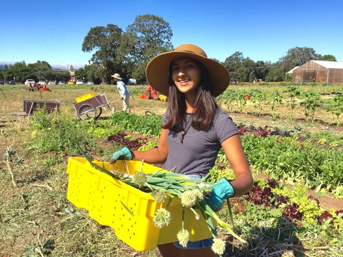 Student holding yellow case
