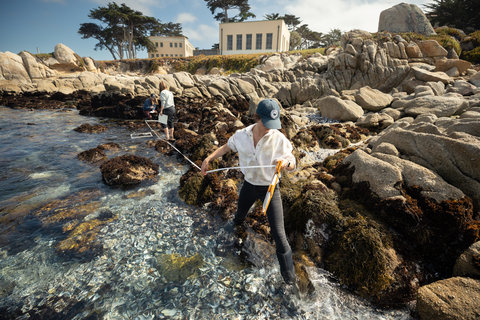 Two researchers stretch a measuring tape across tide pools. Two research buildings appear in the background.