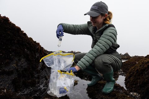 Researcher empties a seawater sample into a bag.