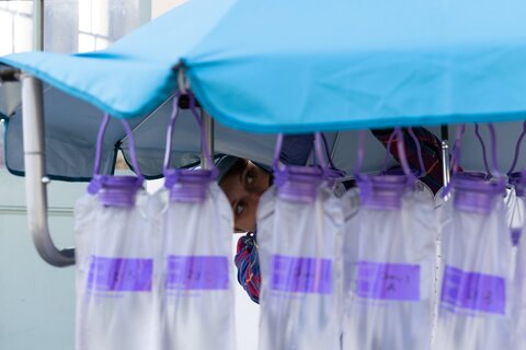 Researcher filters water samples in vials