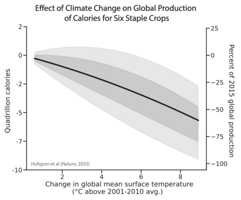 Chart shows decline in global food production capacity as global surface temperatures rise. 