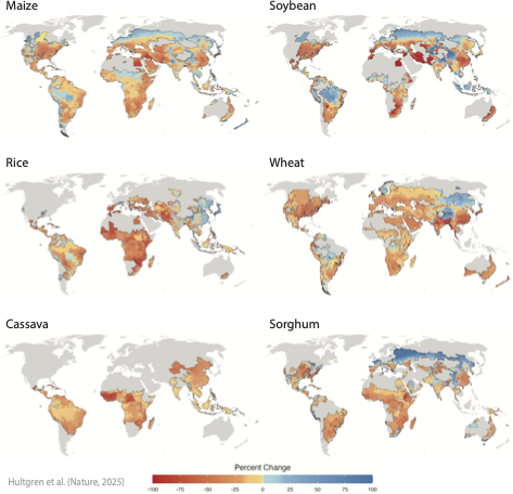 Maps depict projected end-of-century change in crop yields