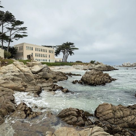 Hopkins Marine Station in Pacific Grove