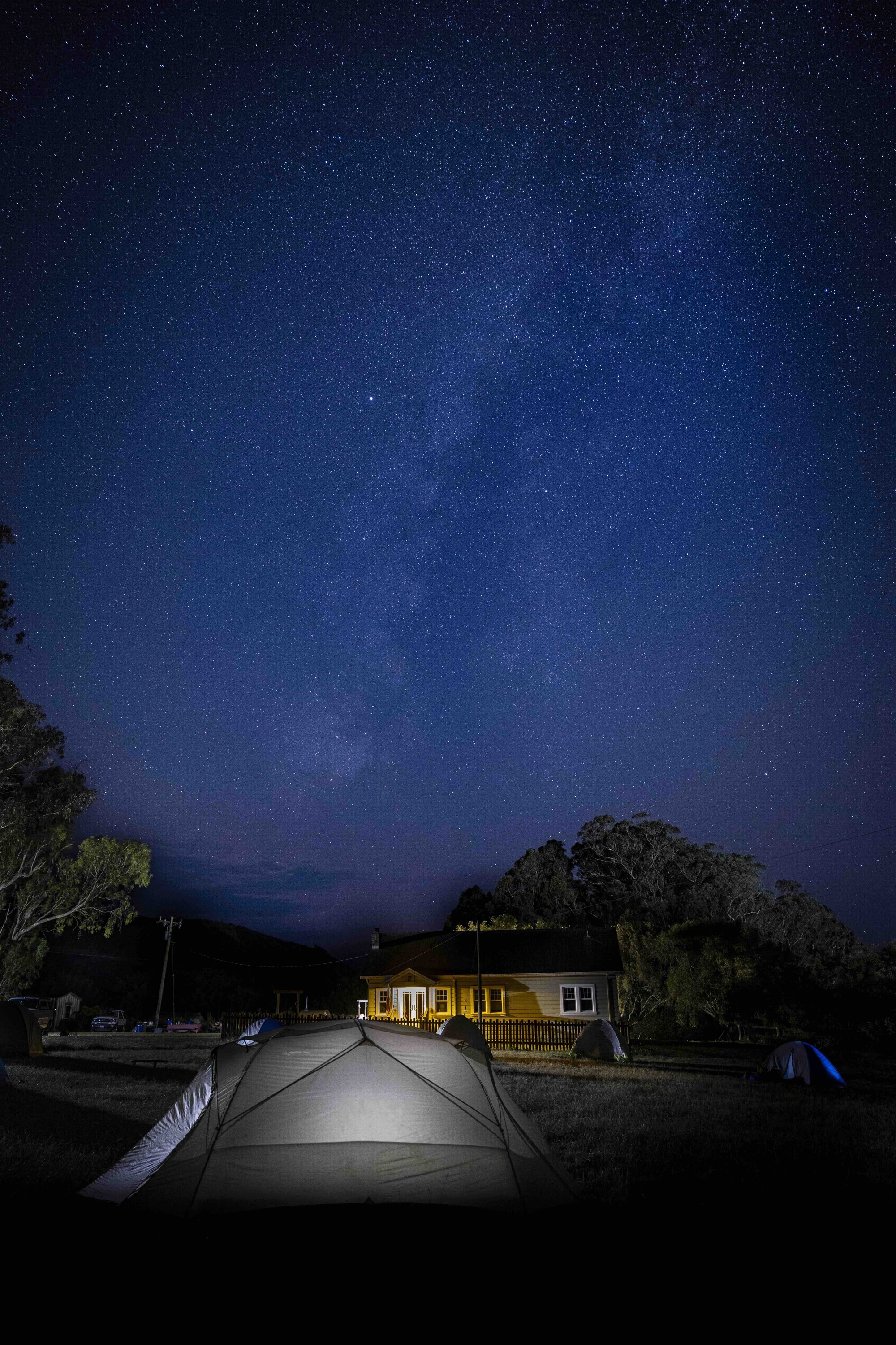 Deep blue sky full of stars above trees and a tent illuminated from the inside