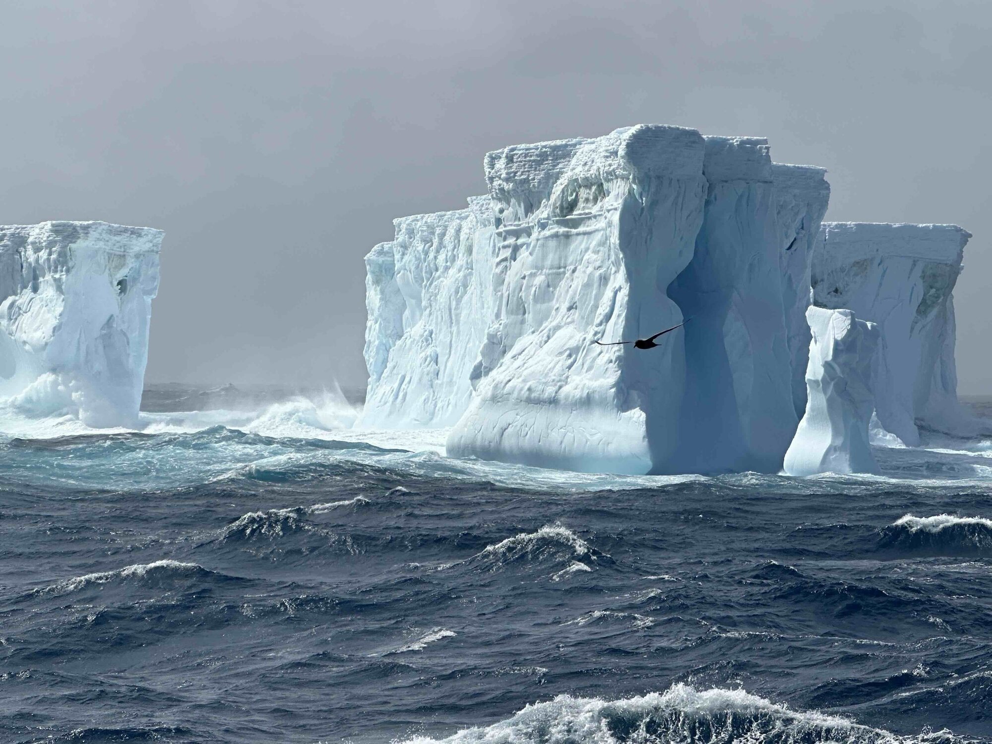 Towering rectangular icebergs in choppy water. Silhouette of a bird flying by