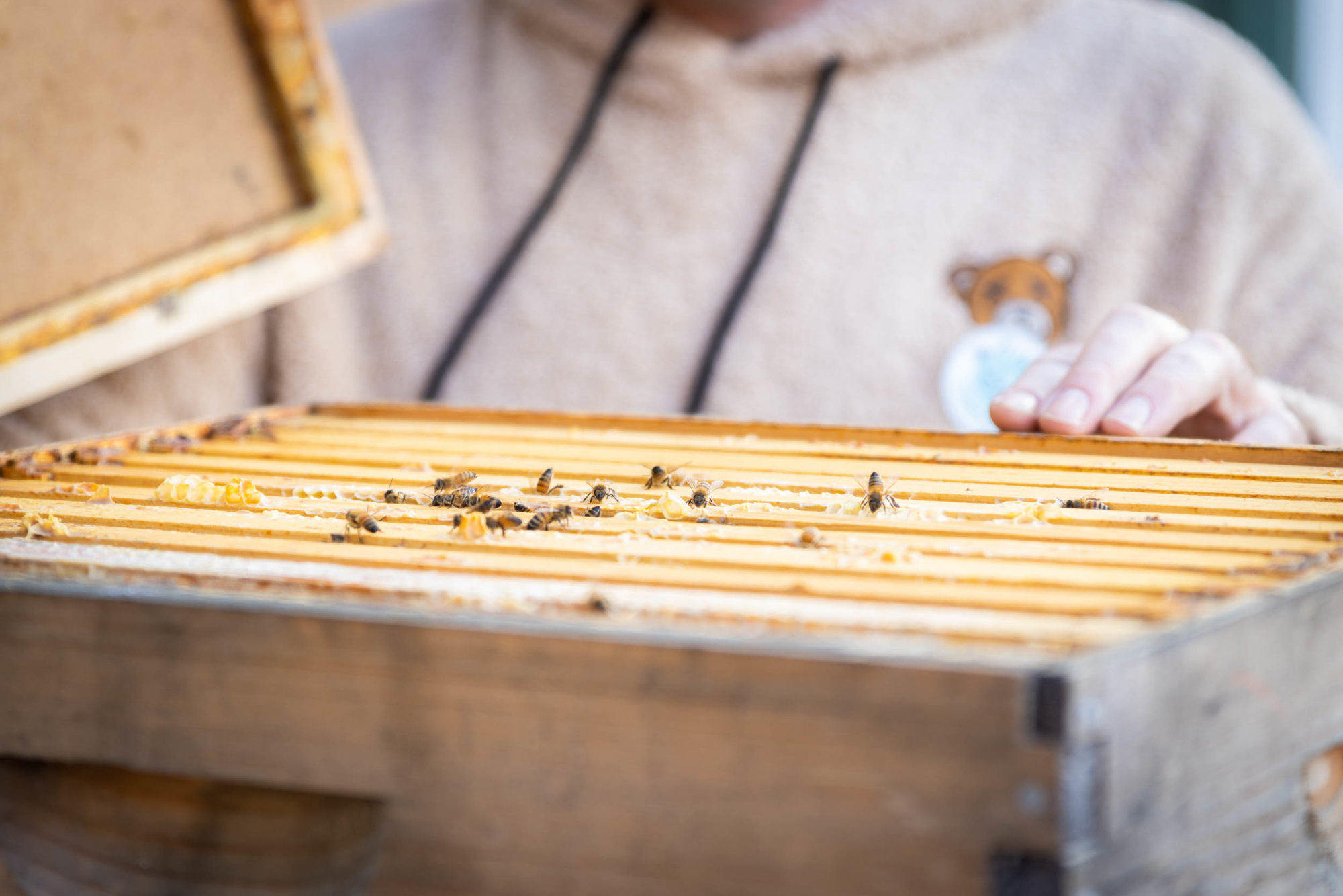 Ananya Navale - Campus Impact - Second Place