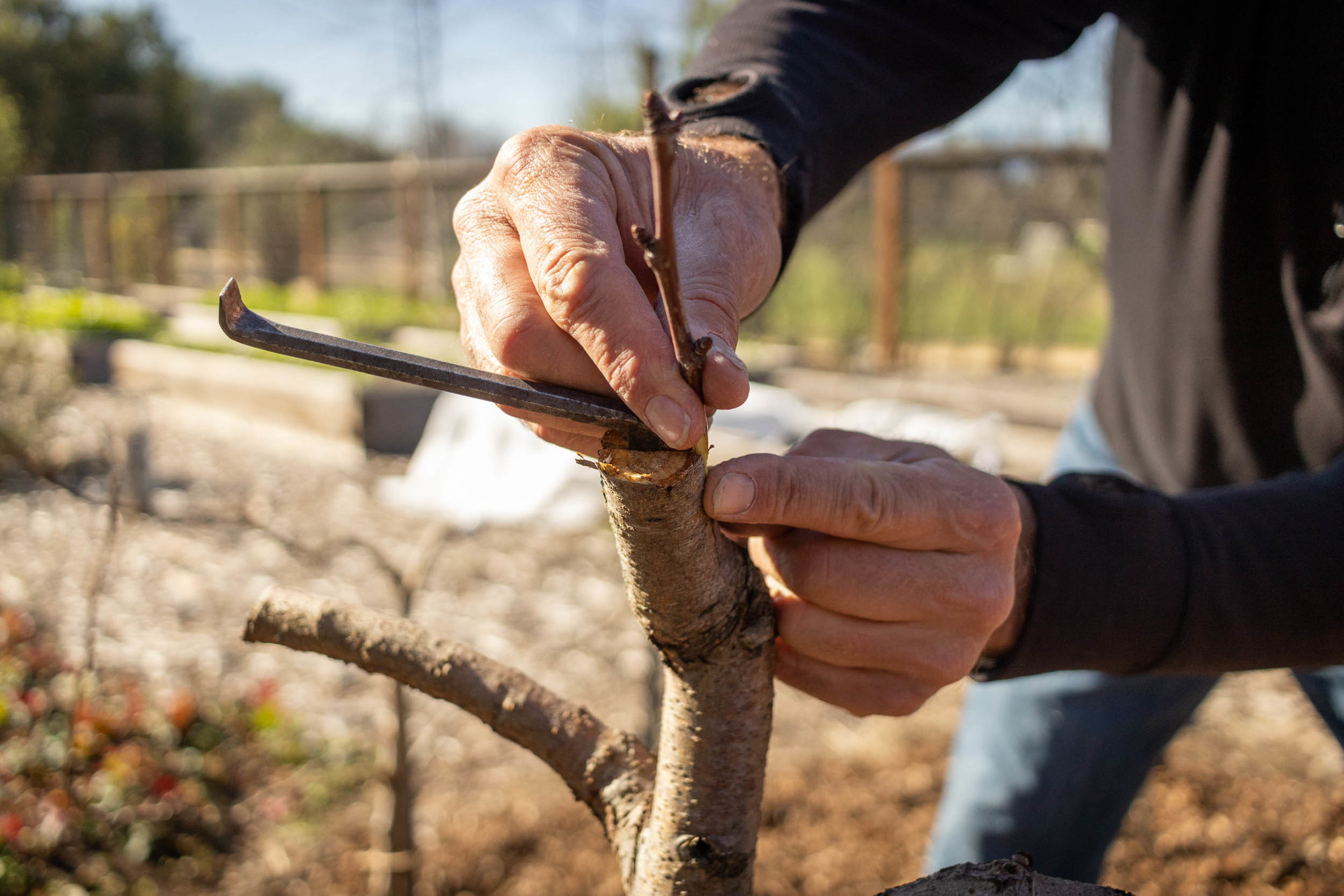 Ananya Navale - Campus Impact - Third Place