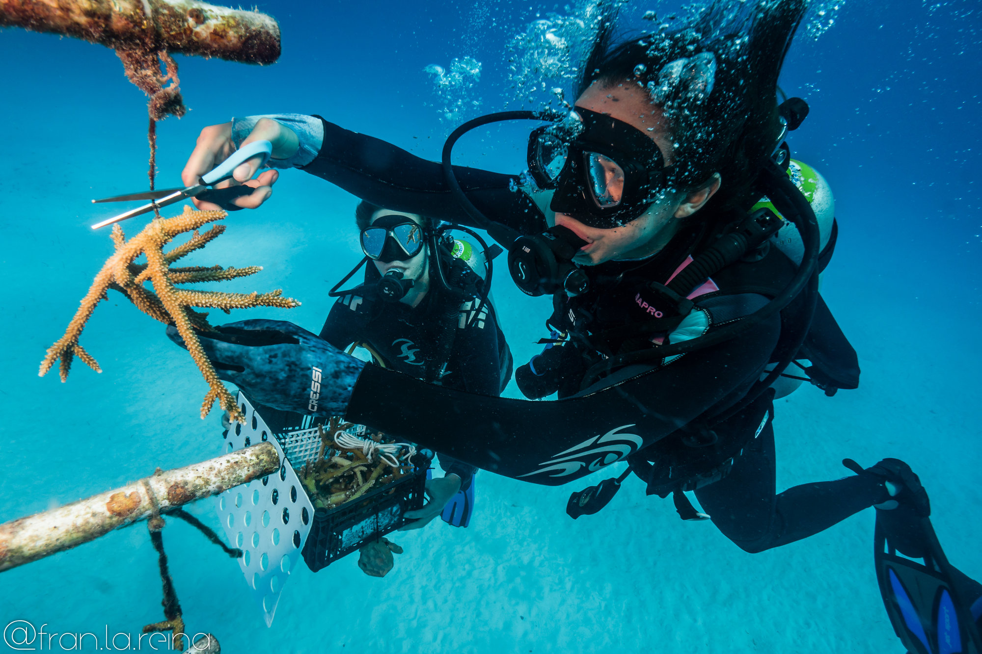 Isa Rios - Photo contest 2023