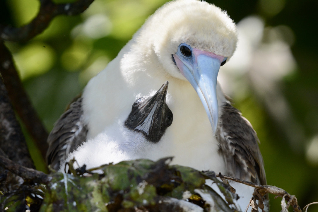 Jaden Clark - Field Impact - Honorable Mention