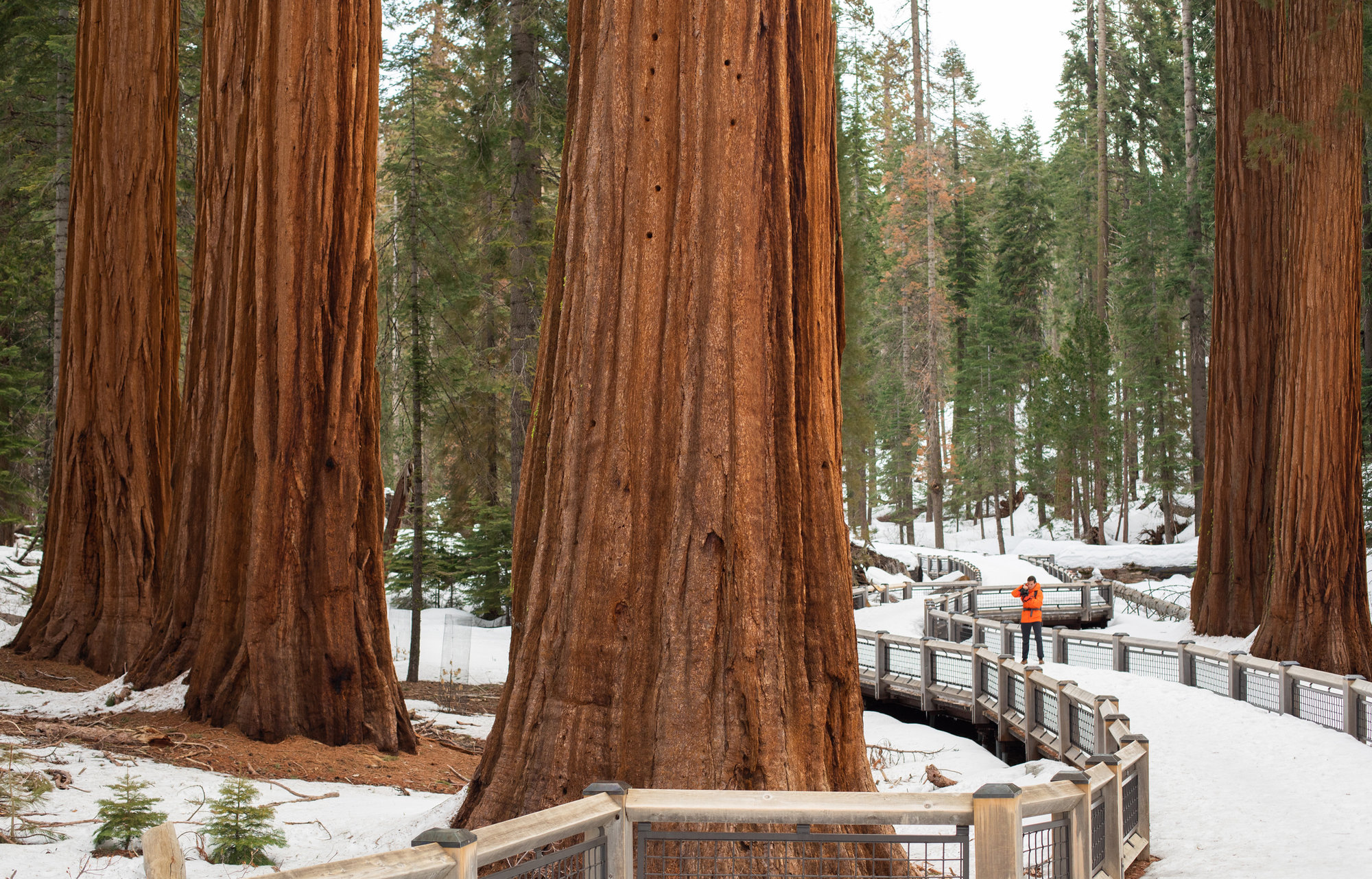 Philippe Roberge - Field Impact