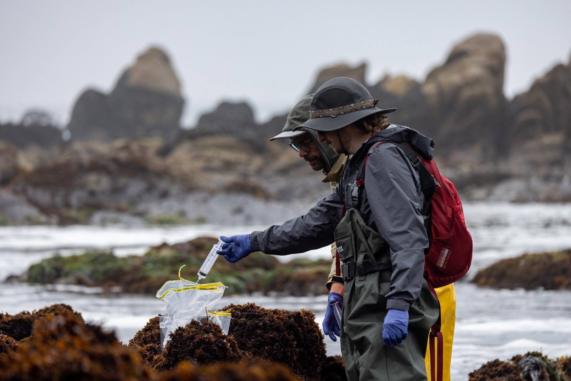 Two researchers collect seawater for environmental DNA analysis.