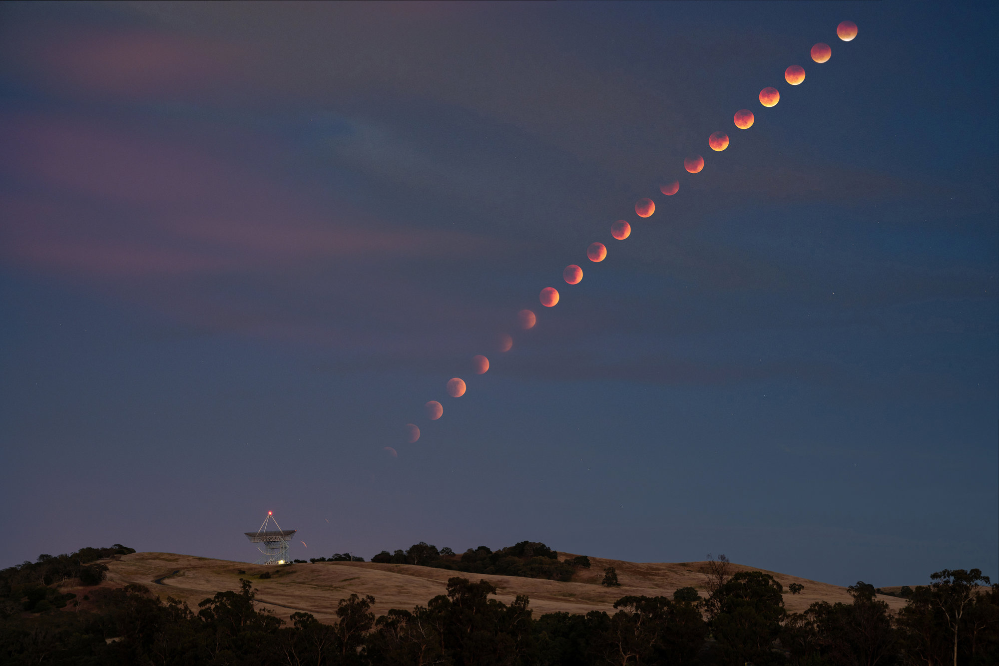 XinXin Cheng - Photo Contest 2023